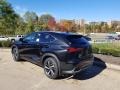 Caviar - NX 300 AWD Photo No. 4