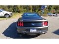 2020 Magnetic Ford Mustang EcoBoost Fastback  photo #6