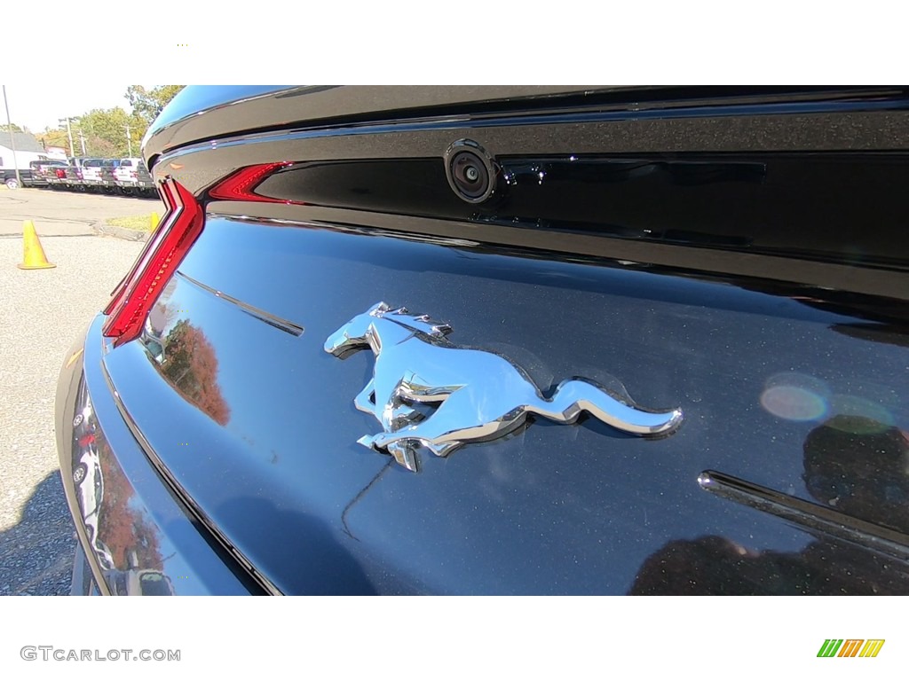 2020 Mustang EcoBoost Fastback - Magnetic / Ebony photo #9