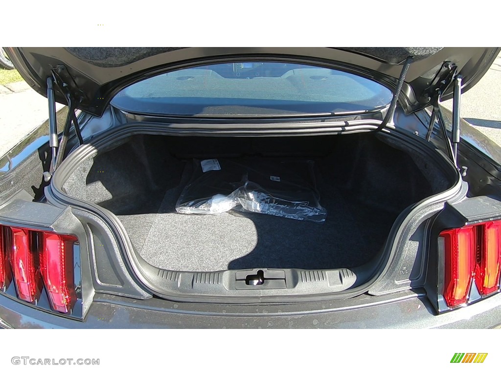 2020 Ford Mustang EcoBoost Fastback Trunk Photo #135713771