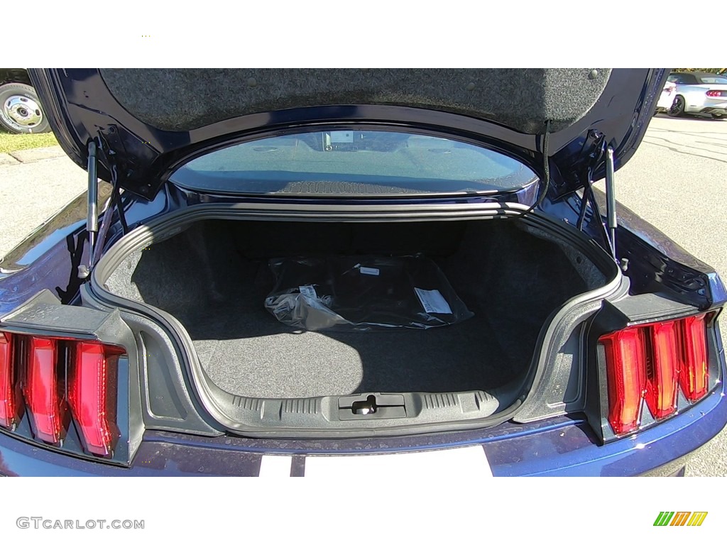 2020 Ford Mustang GT Premium Fastback Trunk Photo #135714167