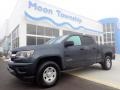 2019 Shadow Gray Metallic Chevrolet Colorado WT Crew Cab 4x4  photo #1