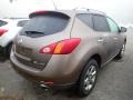 2010 Tinted Bronze Metallic Nissan Murano SL AWD  photo #3