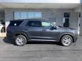 Steel Graphite - Palisade SE AWD Photo No. 3