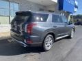 2020 Steel Graphite Hyundai Palisade SE AWD  photo #4