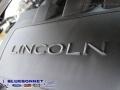 2008 Vapor Silver Metallic Lincoln MKZ Sedan  photo #14