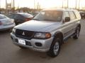 Munich Silver Metallic - Montero Sport ES Photo No. 1