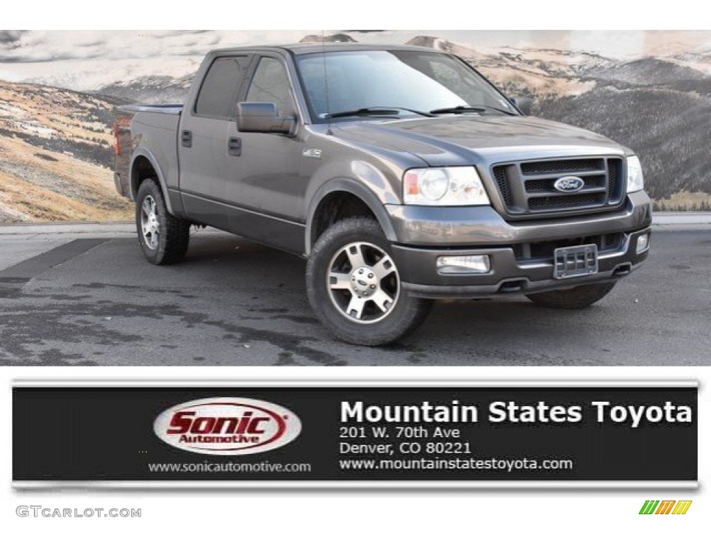 Dark Shadow Grey Metallic Ford F150