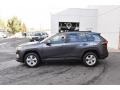 Magnetic Gray Metallic - RAV4 XLE Photo No. 3