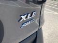 2020 Magnetic Gray Metallic Toyota RAV4 XLE AWD  photo #10