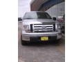 2009 Brilliant Silver Metallic Ford F150 XLT SuperCrew  photo #2