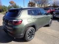 Olive Green Pearl - Compass Trailhawk 4x4 Photo No. 5