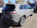 Sting-Gray - Cherokee Latitude Plus 4x4 Photo No. 5