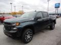 Shadow Gray Metallic - Silverado 1500 Custom Trail Boss Crew Cab 4x4 Photo No. 1