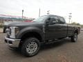Magnetic - F250 Super Duty XLT SuperCab 4x4 Photo No. 6