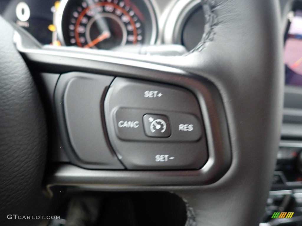 2020 Gladiator Sport 4x4 - Punk