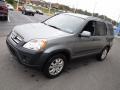 2005 Satin Silver Metallic Honda CR-V EX 4WD  photo #6