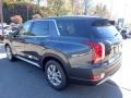 Steel Graphite - Palisade SE AWD Photo No. 6