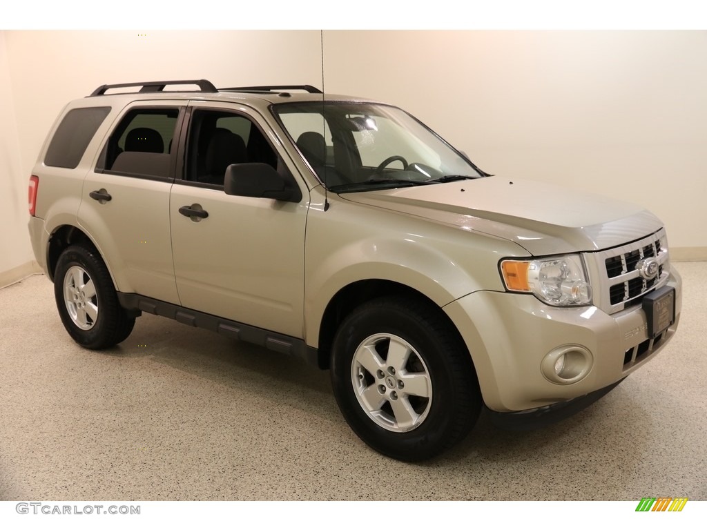 2011 Escape XLT 4WD - Gold Leaf Metallic / Charcoal Black photo #1