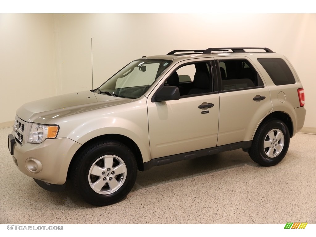 2011 Escape XLT 4WD - Gold Leaf Metallic / Charcoal Black photo #3