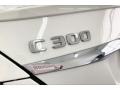 Polar White - C 300 Sedan Photo No. 27