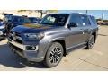 Magnetic Gray Metallic 2020 Toyota 4Runner Limited 4x4 Exterior