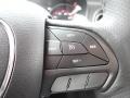 Granite Pearl - Charger SXT AWD Photo No. 18