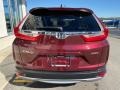 2019 Basque Red Pearl II Honda CR-V EX-L AWD  photo #6