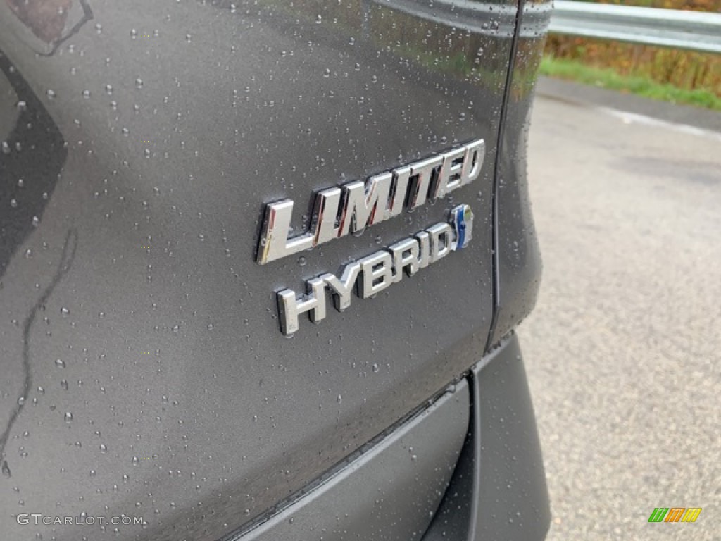 2020 Toyota RAV4 Limited AWD Hybrid Marks and Logos Photo #135866885