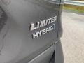  2020 RAV4 Limited AWD Hybrid Logo