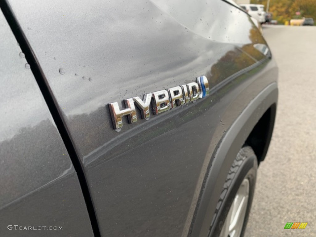 2020 Toyota RAV4 Limited AWD Hybrid Marks and Logos Photo #135866975