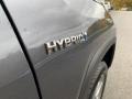 2020 Toyota RAV4 Limited AWD Hybrid Badge and Logo Photo