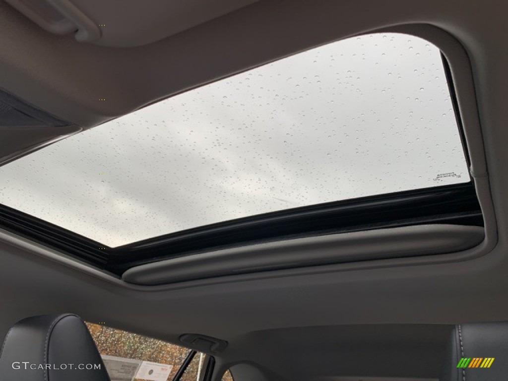 2020 Toyota RAV4 Limited AWD Hybrid Sunroof Photo #135867155