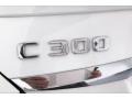 Polar White - C 300 Sedan Photo No. 27