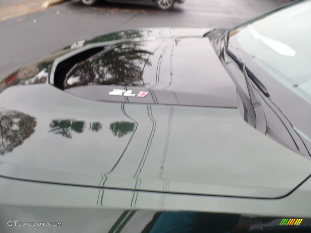 2020 Camaro ZL1 Coupe - Rally Green Metallic / Jet Black photo #17