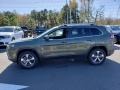 2019 Olive Green Pearl Jeep Cherokee Limited 4x4  photo #3