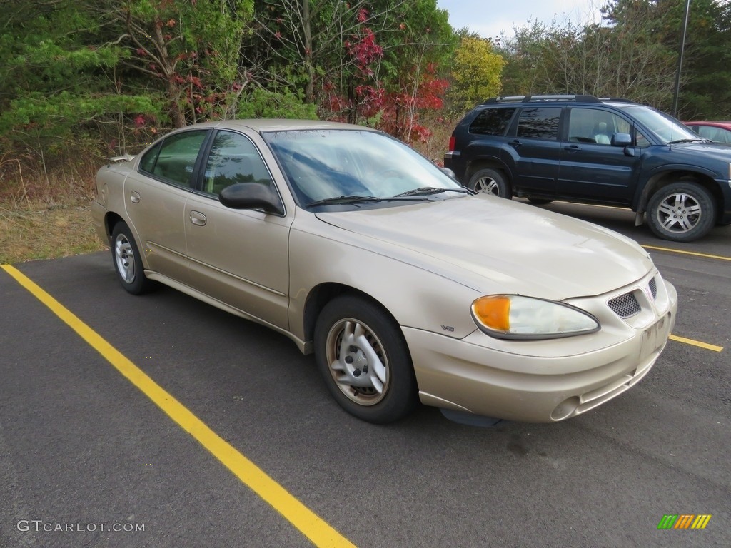 2005 Grand Am SE Sedan - Champagne Beige Metallic / Dark Taupe photo #2