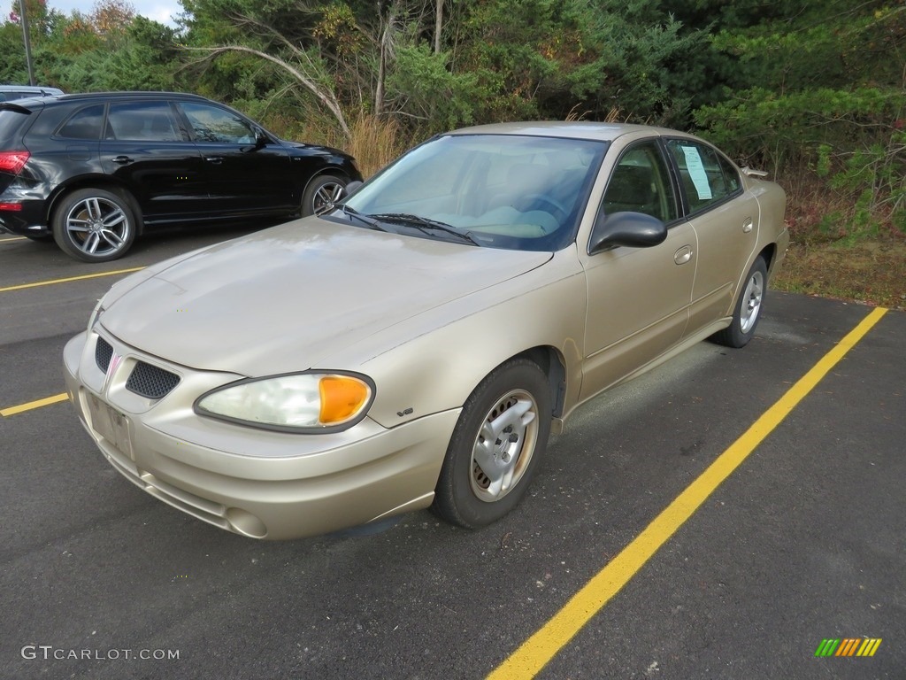 2005 Grand Am SE Sedan - Champagne Beige Metallic / Dark Taupe photo #5