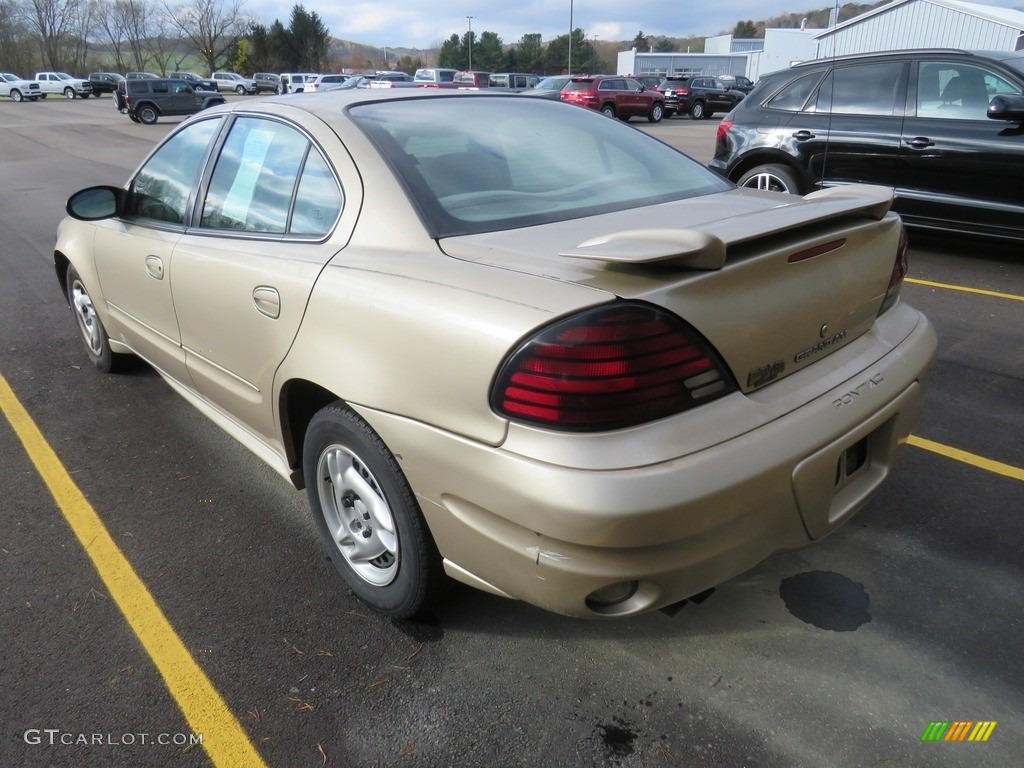 2005 Grand Am SE Sedan - Champagne Beige Metallic / Dark Taupe photo #11