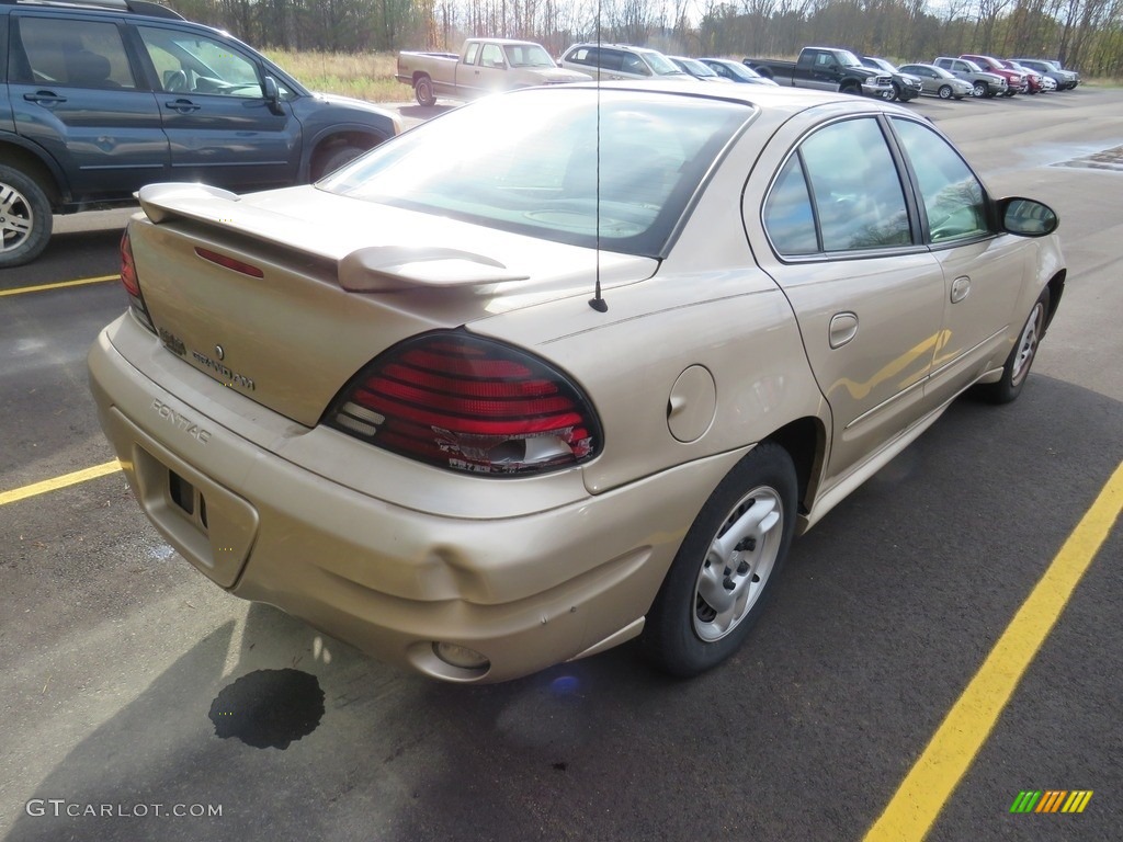 2005 Grand Am SE Sedan - Champagne Beige Metallic / Dark Taupe photo #13
