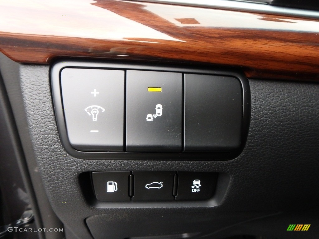 2019 Kia Cadenza Premium Controls Photo #135894735