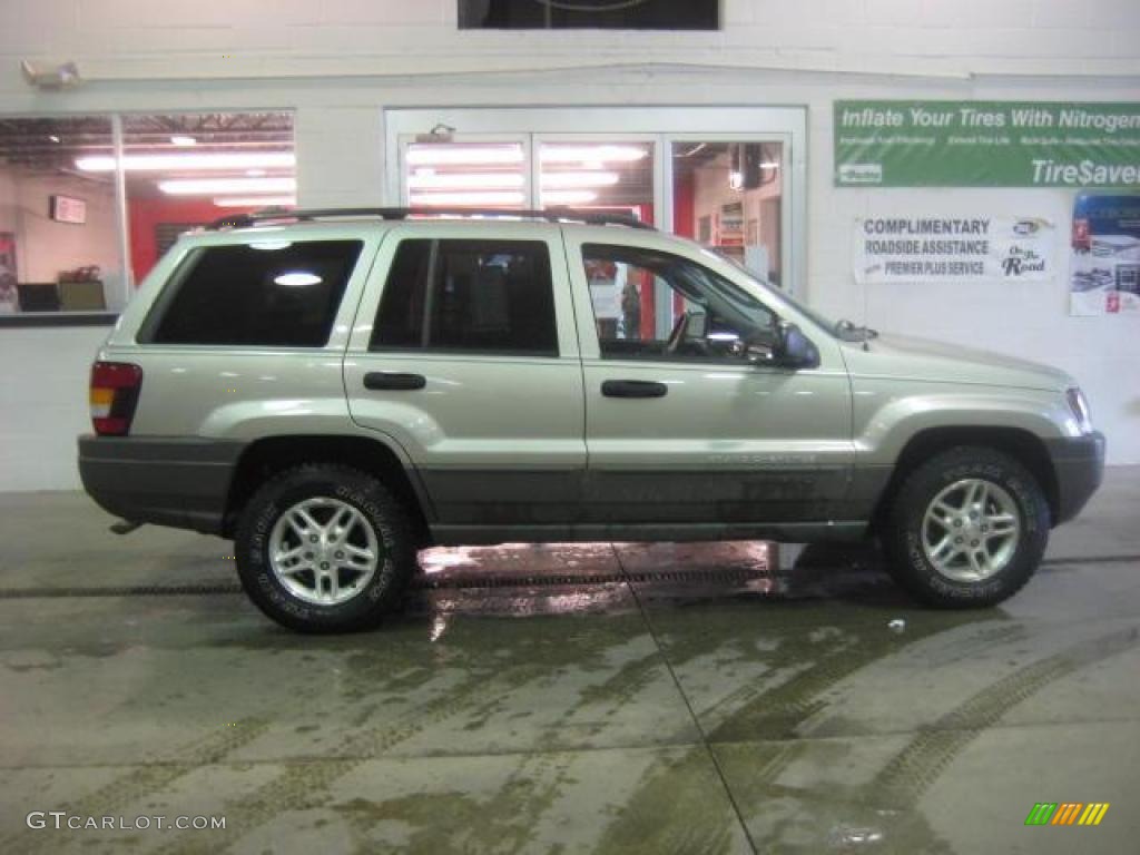 2004 Grand Cherokee Laredo 4x4 - Light Pewter Metallic / Dark Slate Gray photo #7