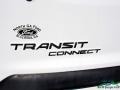 Frozen White - Transit Connect XL Cargo Van Extended Photo No. 29