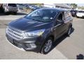 Magnetic 2017 Ford Escape SE 4WD