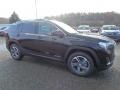 Ebony Twilight Metallic - Terrain SLT AWD Photo No. 3