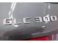 Selenite Grey Metallic - GLC 300 Photo No. 27