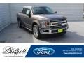 2020 Stone Gray Ford F150 XLT SuperCrew  photo #1