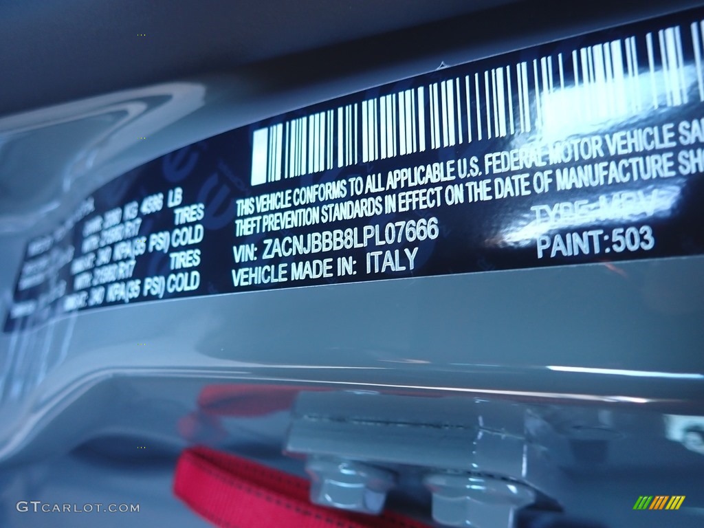 2020 Renegade Color Code 503 for Sting-Gray Photo #135951060
