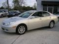 Millennium Silver Metallic - ES 300 Photo No. 2