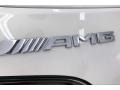  2020 AMG GT C Coupe Logo